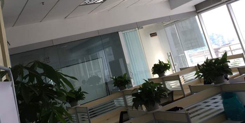 葉子商務(wù)信息咨詢(xún)