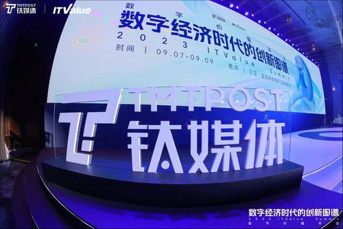 輕松集團馬孝武 商業(yè)健康險迎來窗口期,創(chuàng)新才能讓產(chǎn)品脫穎而出 2023 itvalue summit數(shù)字價值年會