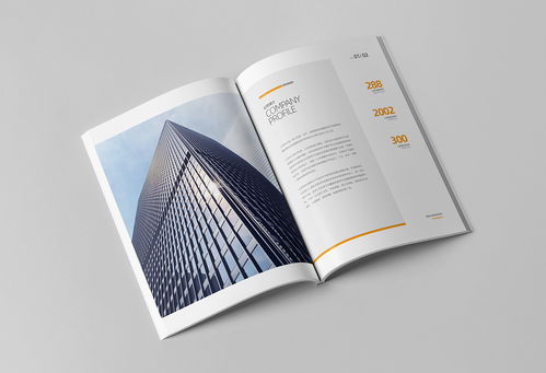 簡約大氣，專業信賴 商務咨詢與投資企業公司畫冊